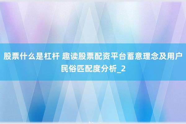 股票什么是杠杆 趣读股票配资平台蓄意理念及用户民俗匹配度分析_2