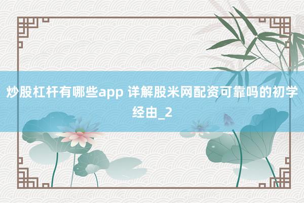 炒股杠杆有哪些app 详解股米网配资可靠吗的初学经由_2