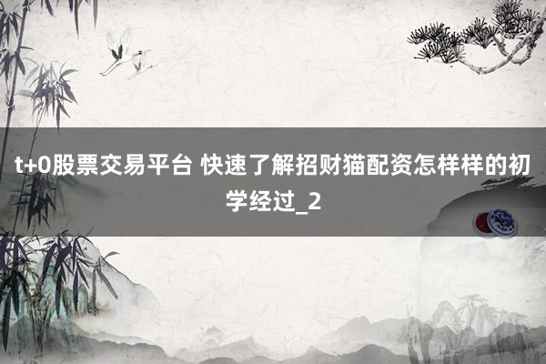 t+0股票交易平台 快速了解招财猫配资怎样样的初学经过_2