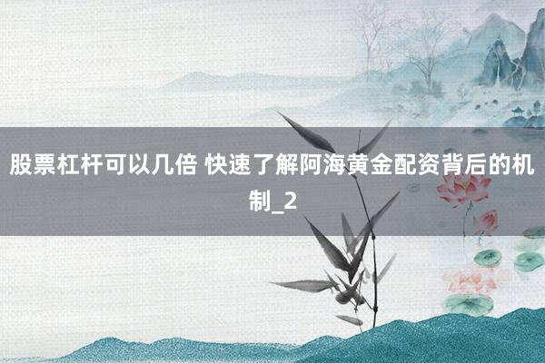 股票杠杆可以几倍 快速了解阿海黄金配资背后的机制_2